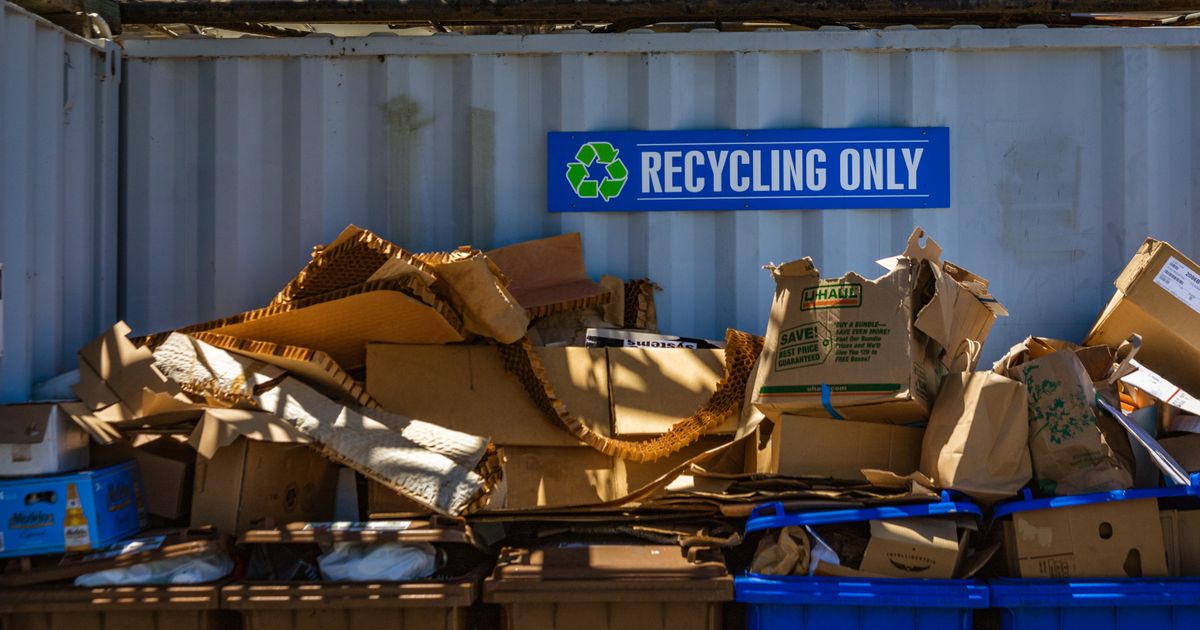 Container ou Recypark à Bruxelles : que choisir ?