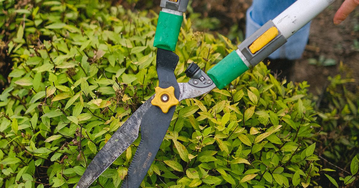 Container paysagiste Bruxelles : la solution pour les pros du jardin