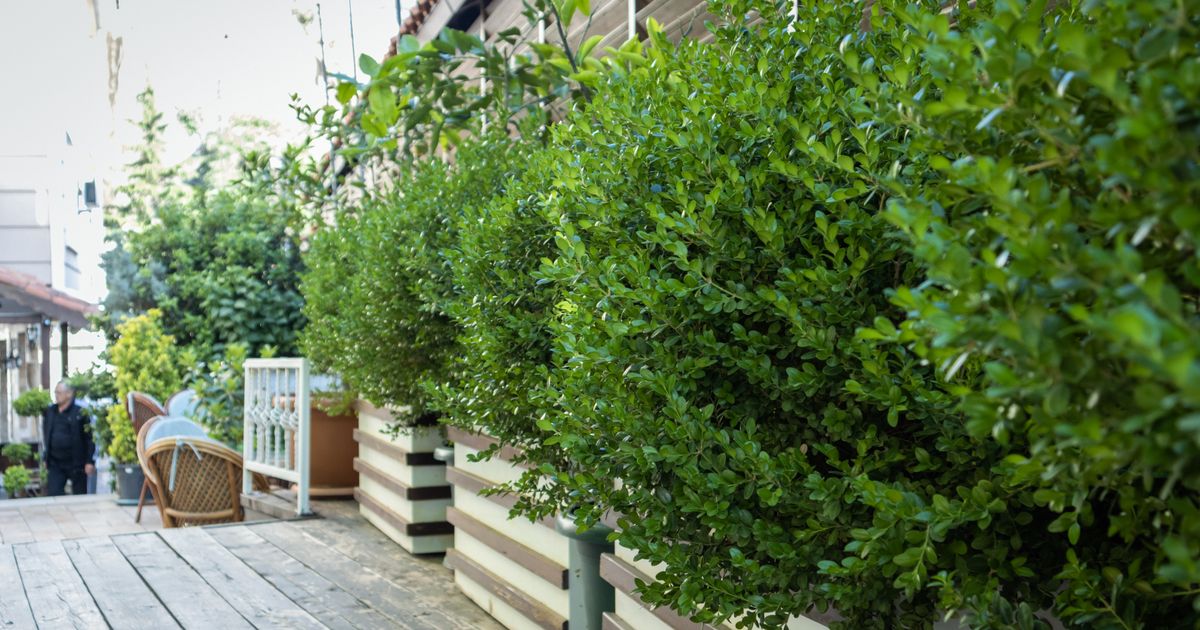Déchets terrasse Bruxelles : évacuer après une rénovation