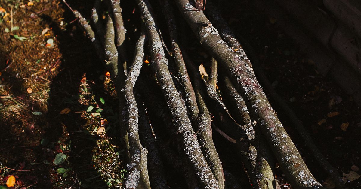 Que faire de vos déchets verts de jardin à Bruxelles&nbsp;?